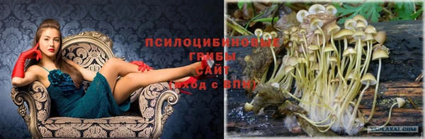 герыч Богородицк