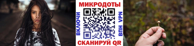 Псилоцибиновые грибы Psilocybe Шилка